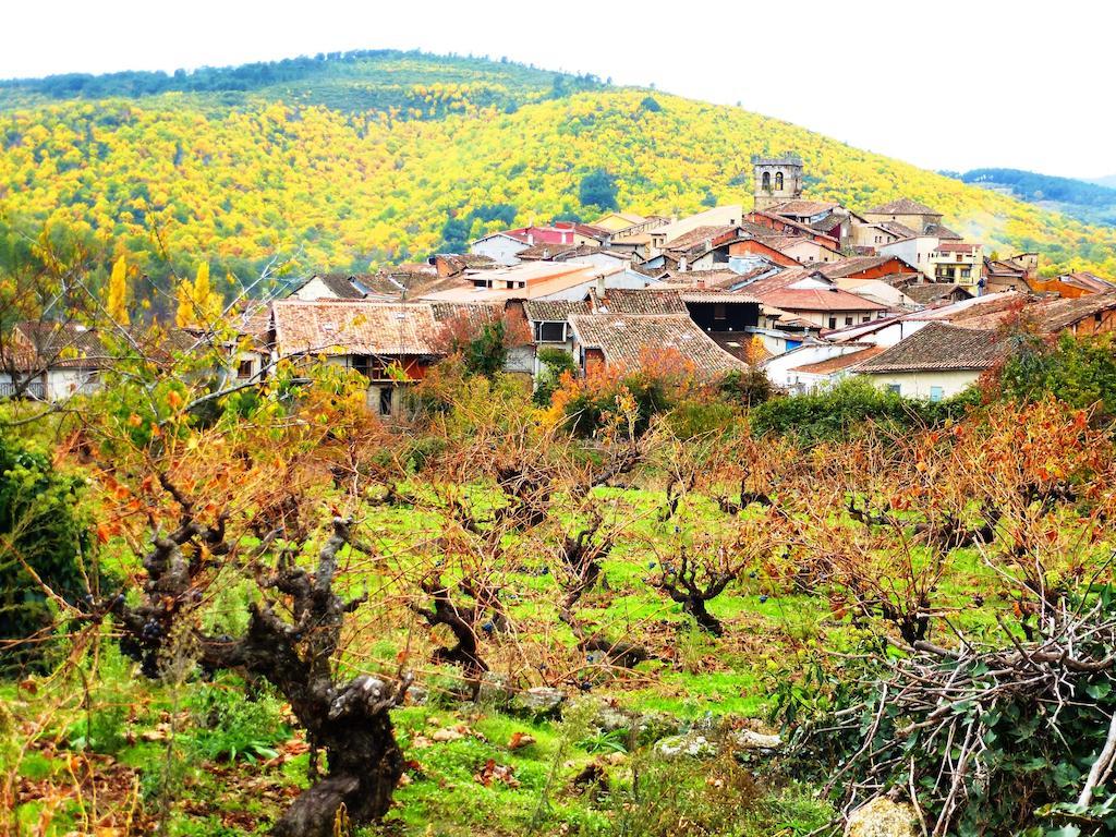 Jardines Del Robledo-Albar Pension San Miguel del Robledo Buitenkant foto