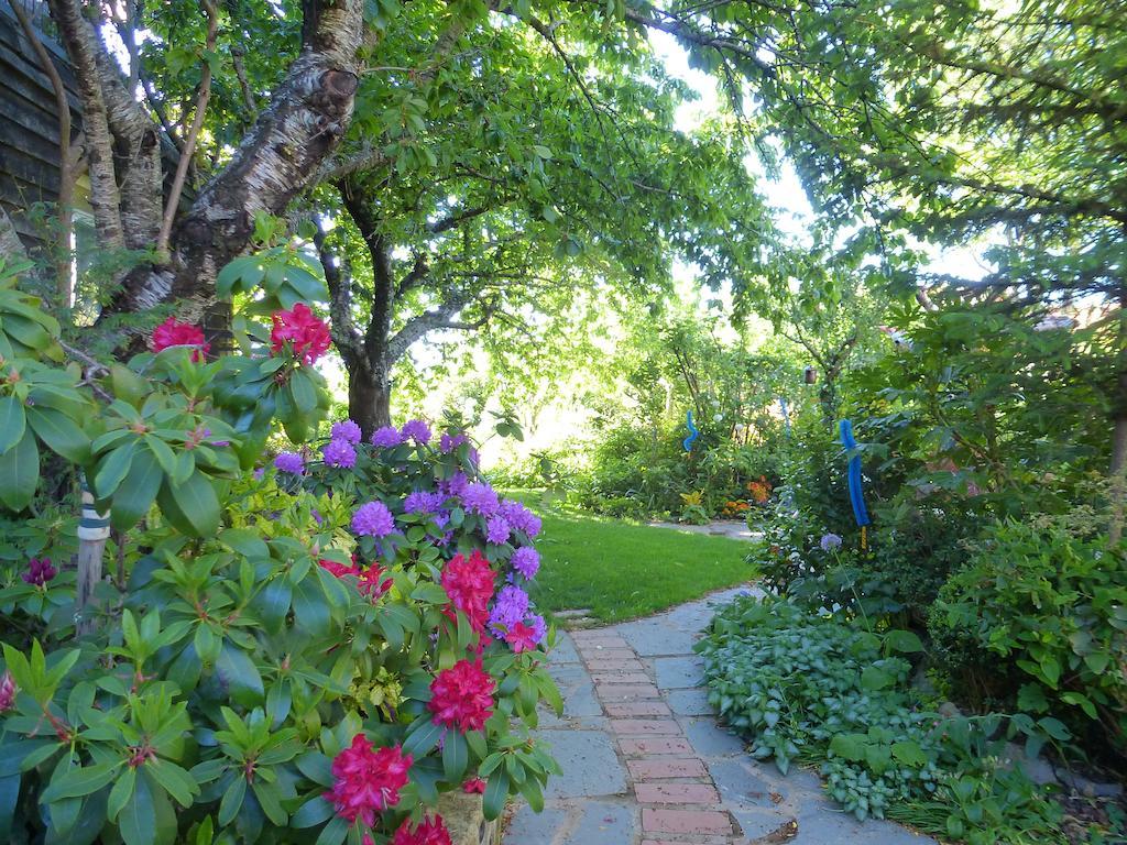 Jardines Del Robledo-Albar Pension San Miguel del Robledo Buitenkant foto